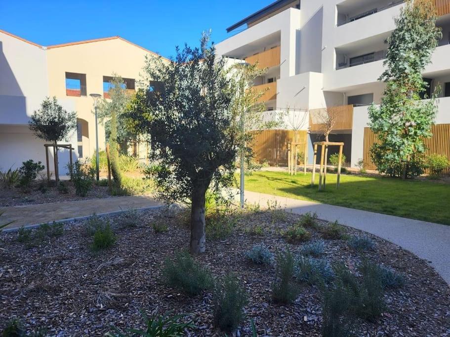 L'Appartement De L'Artiste Marseillan  Esterno foto